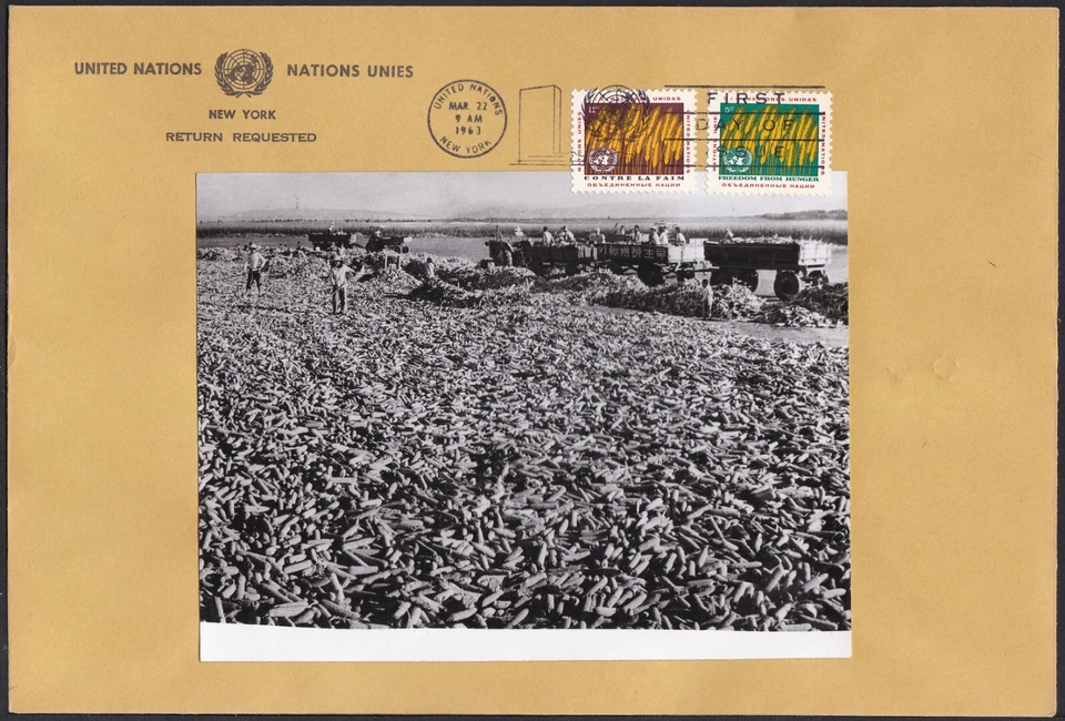 UN New York Sc116 FAO, Freedom from Hunger, Wheat, Photo Essay FDC 3 - Image 1 of 1