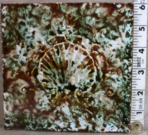 Cambridge Antique 6" Scallop Shell Seashell Glazed Ceramic Fireplace Tile - Picture 1 of 12