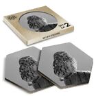2 x Hexagon Coasters - BW - Owl Winter Snow Bird #41566