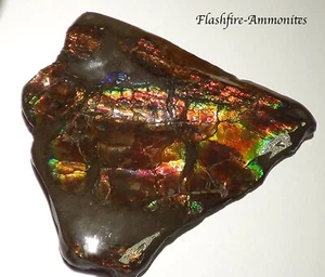 110 Gramm. Sammler Ammolite /Drachenschuppe Rot Grün-Golden-Orange   + VIDEO - Imagen 1 de 7