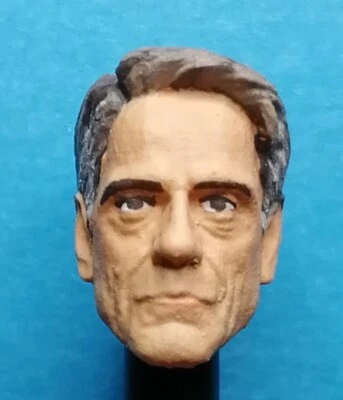 246 JEREMY IRONS - custom HEADCAST  FOR ACTION FIGURE - Image 1 of 2