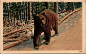 Postal de lino de oso pardo nativo en las montañas de Washington - Imagen 1 de 2