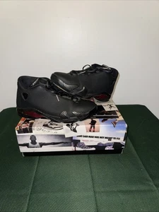 Air Jordan 14 Retro SE Black Ferrari - Größe 10 - Bild 1 von 17