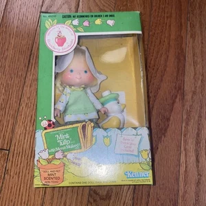 Vintage Strawberry Shortcake Box 1980s Kenner Mint Tulip Marsh Mallard - Imagen 1 de 5