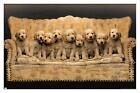 Keith Kimberlin - Puppies - Couch 14x22 Poster