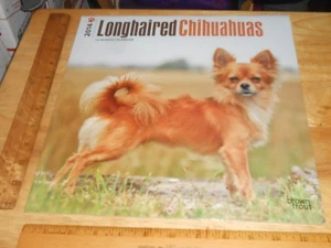 Longhaired Chihuahua 2013 Wall Calendar,w/a Diff. Pic of the Long Haired Dog,12" - Picture 1 of 3