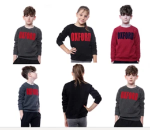 Niños Niñas Sudadera Top Pulóver Suéter Mezcla Pesada Talla 3/4 a 9/10 - Imagen 1 de 12