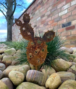 ESTACA PLANTADORA DE CACTUS ESPIGA JARDÍN HOGAR ACERO DECORATIVO REGALO METAL GRANDE D - Imagen 1 de 3