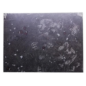 Killzone: Battlezone Pariah #13961 Terrain Warhammer 40,000 - Picture 1 of 2