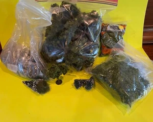 Model Train Foliage Bundle - Picture 1 of 2