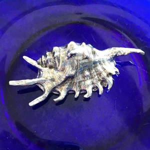 World's Famous Christofle Cristofull Ornamento Shell 1 - Imagen 1 de 6