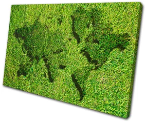 Karten Flaggen Weltatlas Gras EINZELNE LEINWAND WANDBILD Bild Druck VA - Bild 1 von 1