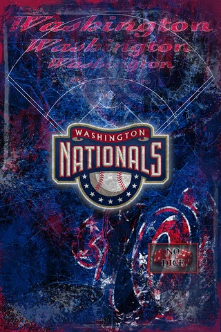 WASHINGTON NATIONALS Poster, The Nats MLB Baseball Print Free Shipping Us Cover
