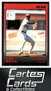 Terry Wells 1989 Star Columbus Mudcats #23  Houston Astros