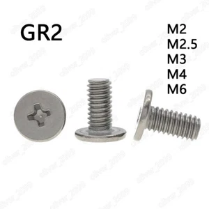 Titanium GR2 Phillips Utrathin Flat Head Laptop Notebook Screws M2 M2.5 M3 M4 M6 - Picture 1 of 5