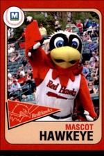 2019 Fargo-Moorhead RedHawks Team Issue #27 Hawkeye MASCOT - NM Baseball Card