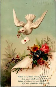 Wenn die goldene Sonne untergeht Taube Brief Blumen Postkarte HA Rogers DB 1909 - Bild 1 von 2
