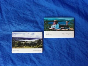 Imanes de nevera Arts of the Southern FINGER LAKES Seneca Lake & Lake Dreams - Imagen 1 de 3
