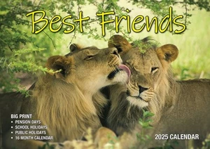 2025 Calendar Big Print Best Friends Wall Bartel BP513 - Picture 1 of 3