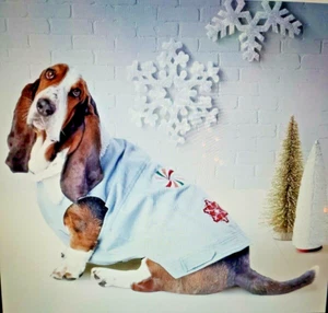 Abbigliamento cane animale domestico denim sherpa giacca gilet vestiti inverno blu taglia media NUOVO - Foto 1 di 4