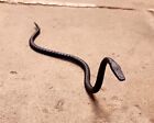 Rebar Snake Hand Forged Iron Snake Garden Decor Steel Snake Sculpture Yard Art