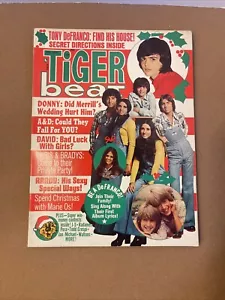 Tiger Beat #4 Dez 1973 Donny Osmond, Andy & David, David Cassidy Radames T1 - Bild 1 von 14