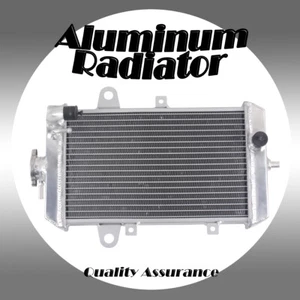 FOR ATV Yamaha Raptor 700R YFM 700 R YFM700R 2013-2024 2019 Aluminum radiator - Foto 1 di 8