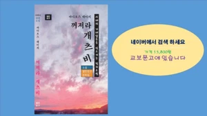 Adios Gatsby Taschenbuch Bunko - 1. Januar 2023 koreanische Ausgabe - Bild 1 von 7