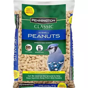Pennington In Shell Peanuts Wildlife and Wild Bird Food, 5 lb. Bag, Dry, 1 Pack - Picture 1 of 8