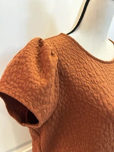 Ann Taylor Short Sleeve Sweater Shirt Flattering Fit Sz L EUC - Picture 1 of 6