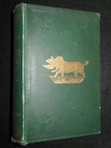 Das wilde Geflügel von Henry Coleman Folkard - 1864 - Wildgeflügel, Jagd, Schießen - Bild 1 von 12