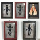 Taxidermy Animals Gothic Decor Photo Frame Picture Frames  Home Hanging