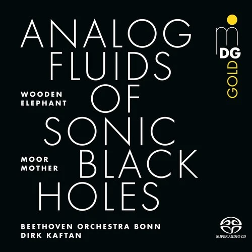 Nicole Mitchell and - Analog Fluids of Sonic Black Holes [Used Very Good SACD] - Image 1 of 1
