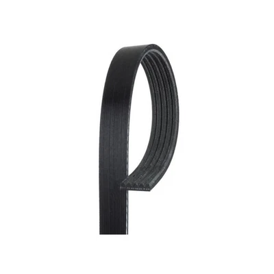 Cinturón serpentino acanalado en V estándar ACDelco genuino para Chevy Aveo5 07-11 | negro Foto 1 de 4