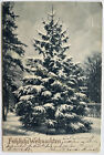 AK alte Postkarte Motiv Weihnachten um 1903 Christbaum Weihnachtsbaum