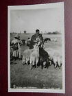 Shepherd & Sheep Hirt Aus Sofia Umgebung Bulgaria - Paskoff Sofia Rp 1940 Ethnic