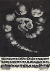Bob Schnepf Fd 131 Pink Floyd Crome Syrcus Family Dog Avalon 1968 Postcard Fd131