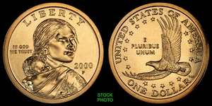 2000~P SACAGAWEA DOLLAR ~ CHOICE BRILLIANT UNCIRCULATED CONDITION - Picture 1 of 1