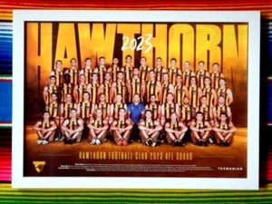 Framed 2023 HAWTHORN HAWKS AFL Poster - 45cm x 32cm x 3cm - Picture 1 of 3