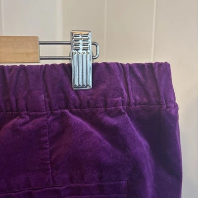 J Jill Velvet Pants Women's 20 Purple Straight Leg Side Zip Fairy Dressy 40x28 - Image 1 of 4