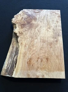 Ahorn Maser, Live Edge, 13 5/8” lang, 10 1/4” breit, 1 3/8” dick, trocken - Bild 1 von 9