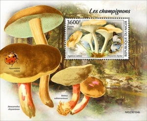 2024 03 - NIGER - FUNGHI 1V set completo nuovo di zecca ** - Foto 1 di 1