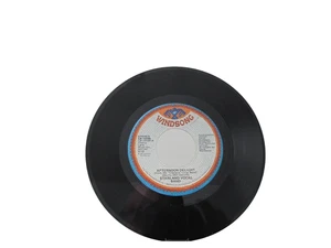 45 RECORD - STARLAND VOCAL BAND - AFTERNOON DELIGHT - Picture 1 of 1