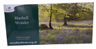 Bluebell Wonder Puzzle NOWE 1000 szt 26 cali X 20 cali Kwiaty Woodland Trust