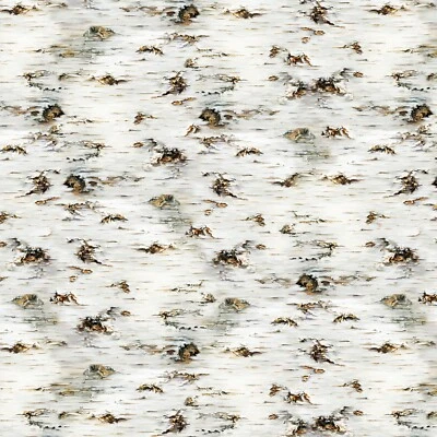 Birch Birch Tree Texture Timeless Treasures Spring Song by Dona Gelsing BTY - Image 1 of 3