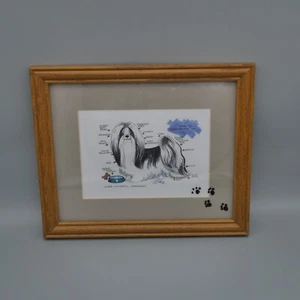 Vintage 1996 Shih Tzu signierter Kunstdruck Ever Faithful Companion Dog 9"x11" gerahmt - Bild 1 von 10