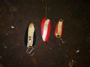 Cucharas de pesca vintage - Imagen 1 de 2