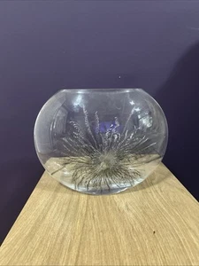Nobile Glass Vase Gold Fantasia - Picture 1 of 6