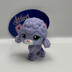 POODLE DOG #2605 - Auténtico Littlest Pet Shop - Hasbro LPS - Imagen 1 de 4