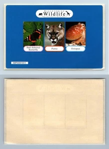 Discovering Wildlife The Ultimate Fact File #11 Sticker Set - Picture 1 of 1